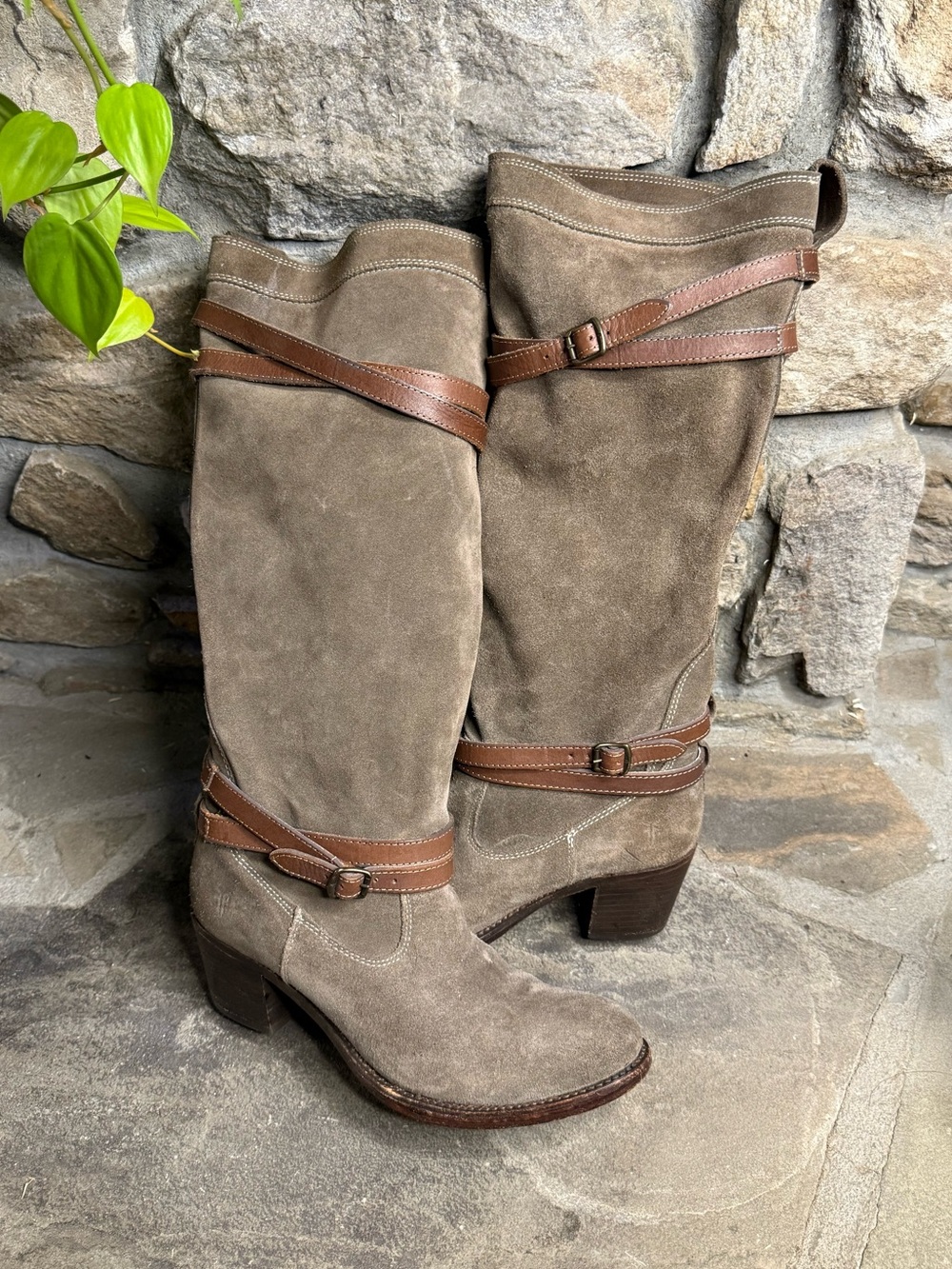 Frye Riding Boots - Picture 5 of 10